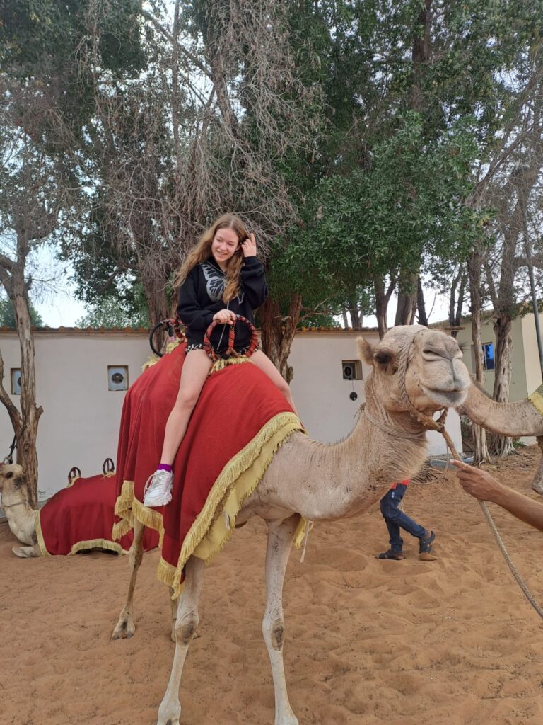 morning desert safari dubai