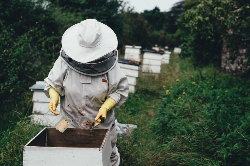 apiary-1866740_1280