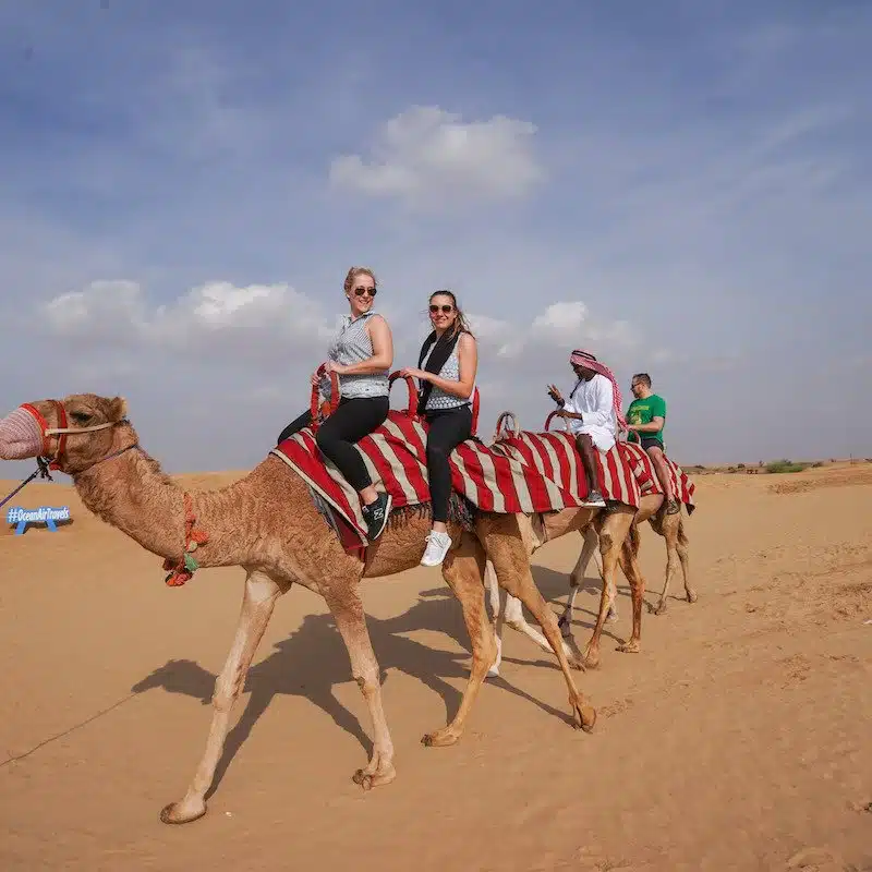 camel-ride-dubai-2