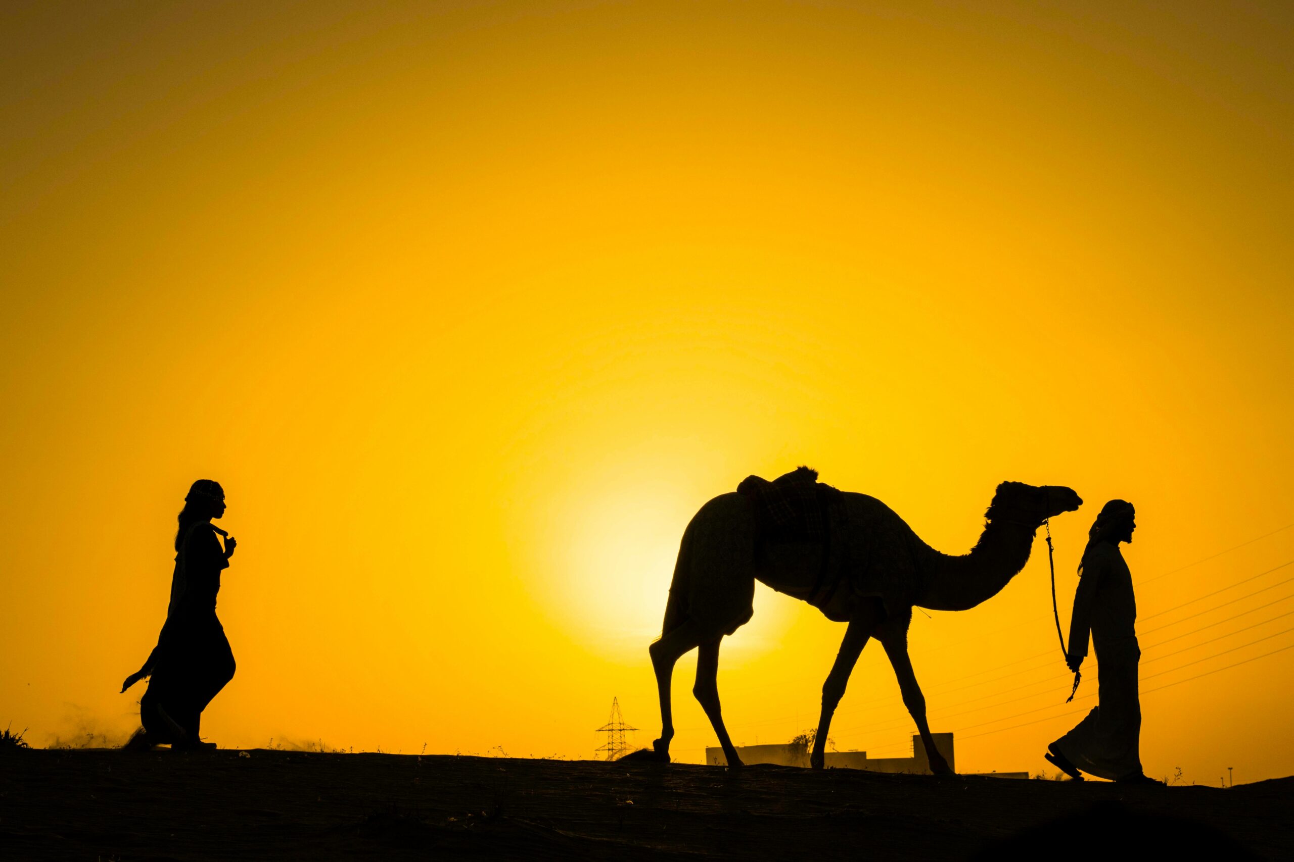 Evening Desert Safari Dubai