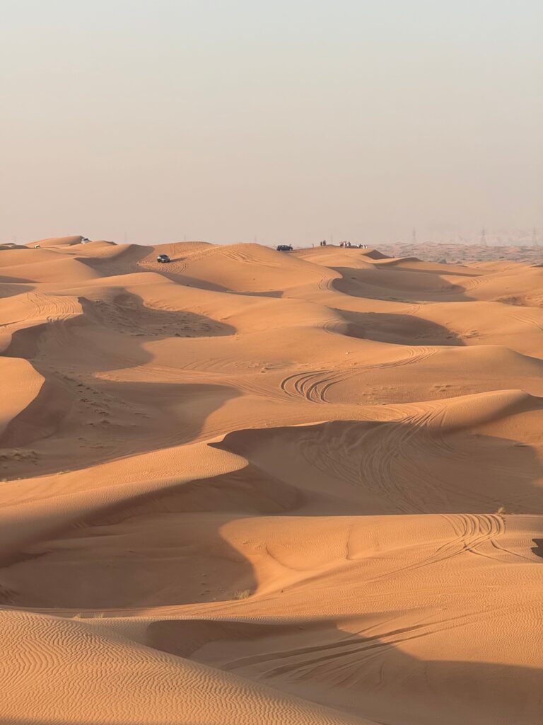 private desert safari Dubai 2
