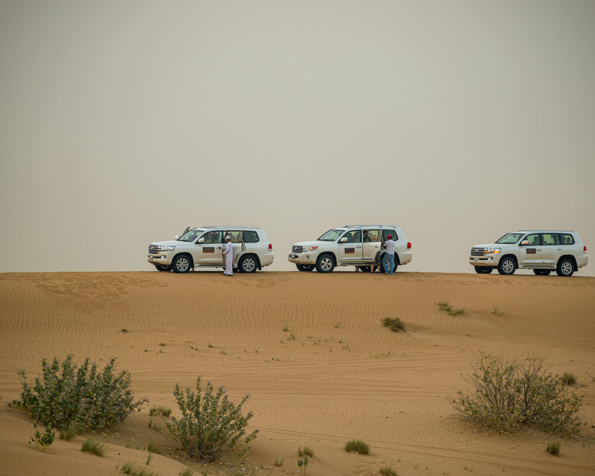 Experience the Magic: Book Your Perfect Desert Safari Near Me in the UAE