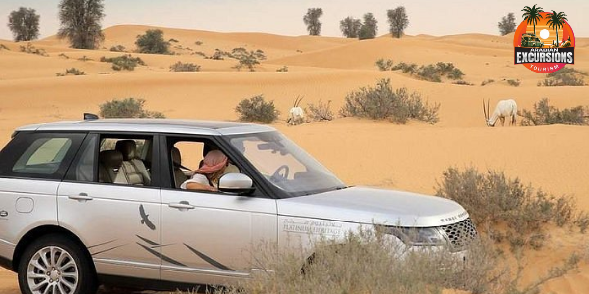 Tourists enjoying a sustainable desert safari Dubai with eco-friendly vehicles and cultural activities.