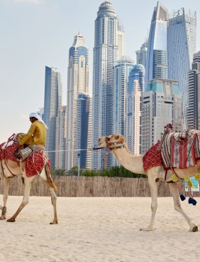 Dubai, UAE, November 2019 an Arab man sits on a camel on the beach in Dubai, travel